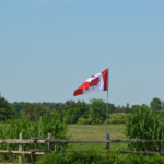 Healthcare in Rural Canada