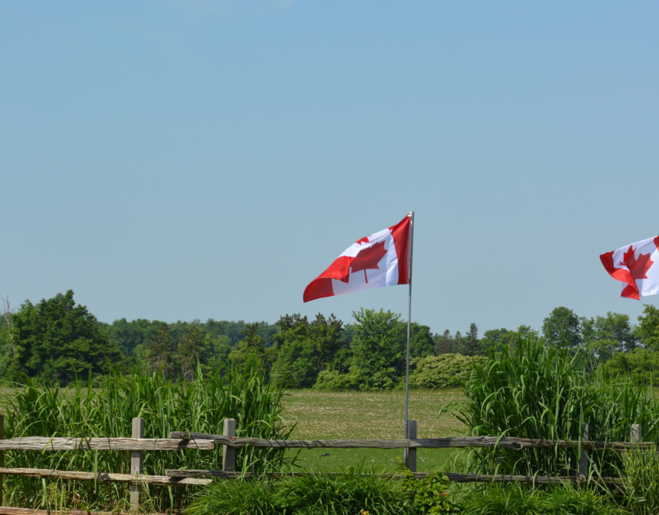 Healthcare in Rural Canada